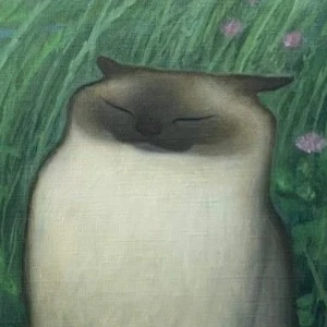 Eliis Pajusalu