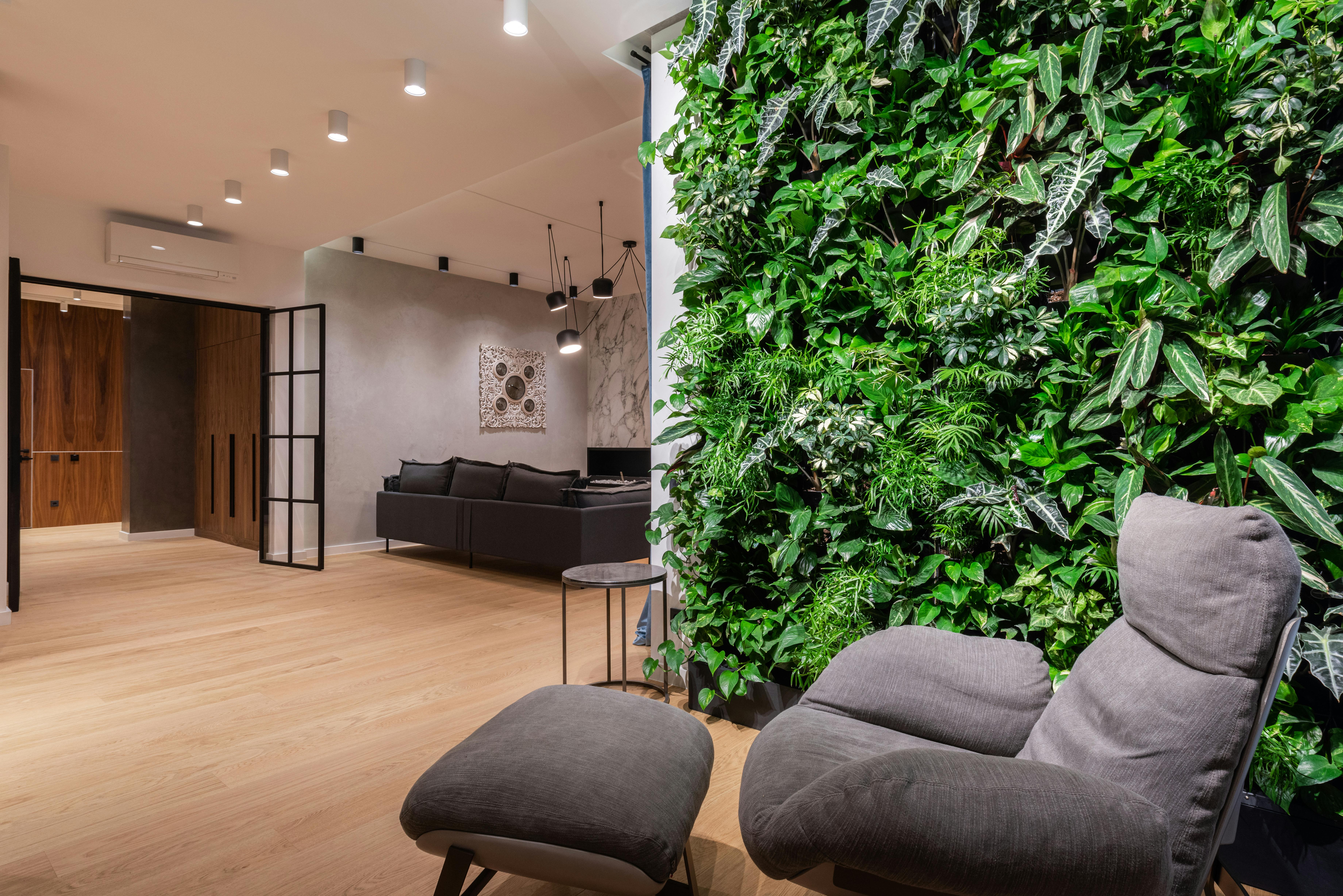 Зелёная стена поглощает звуки